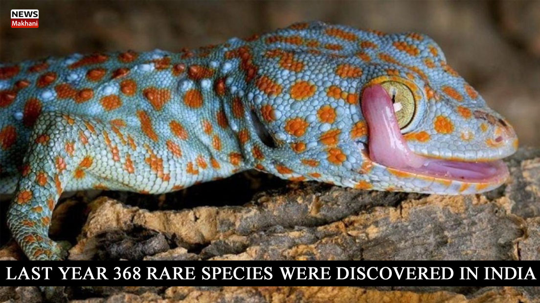 993CD075-3436-4B25-823F-C6B6F33FCE4A