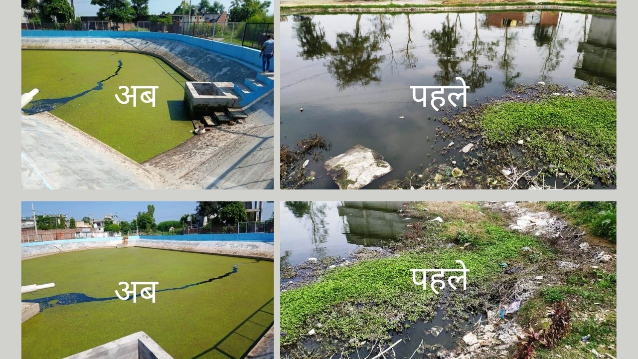 Gurdaspur park cleaning Gurdaspur Park Cleaning