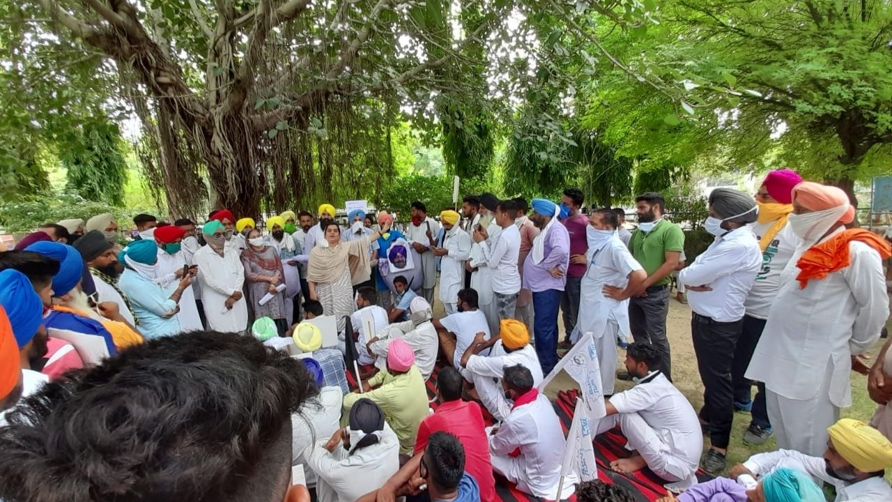 aap protest mansa 1 aap protest mansa