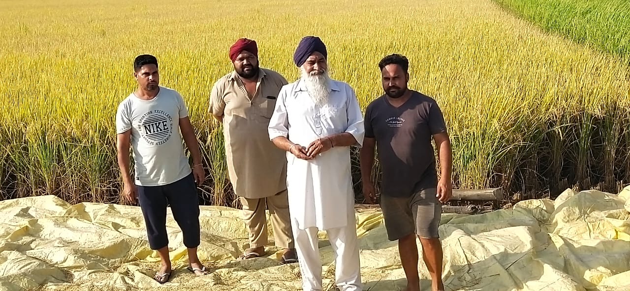 Hoshiarpur farmer Hoshiarpur farmer