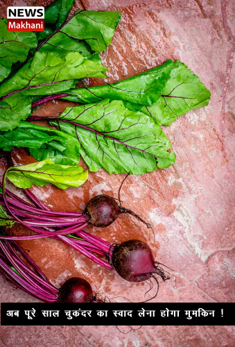 1B750882-404A-4BB2-A55B-76401ED55913