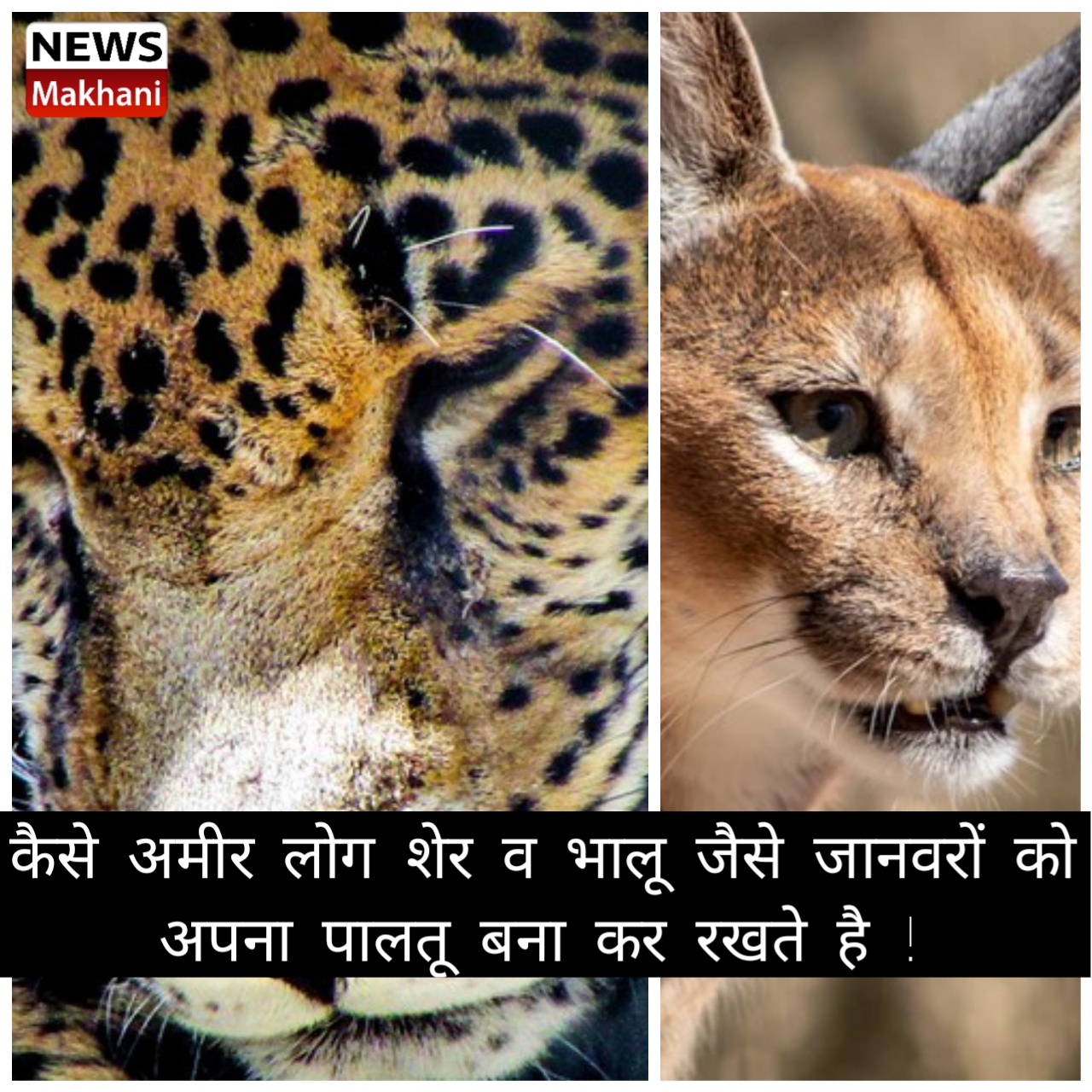 89298498-9C34-45C3-975B-5CFCEA381330