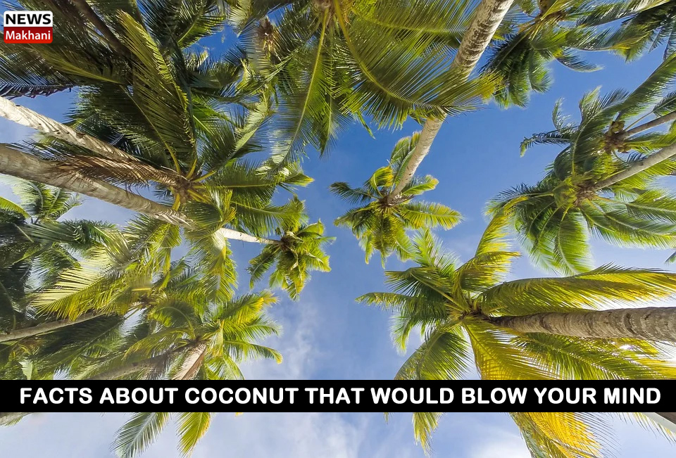 B080D9B4-5101-4F88-BB30-6E23CDAB952A