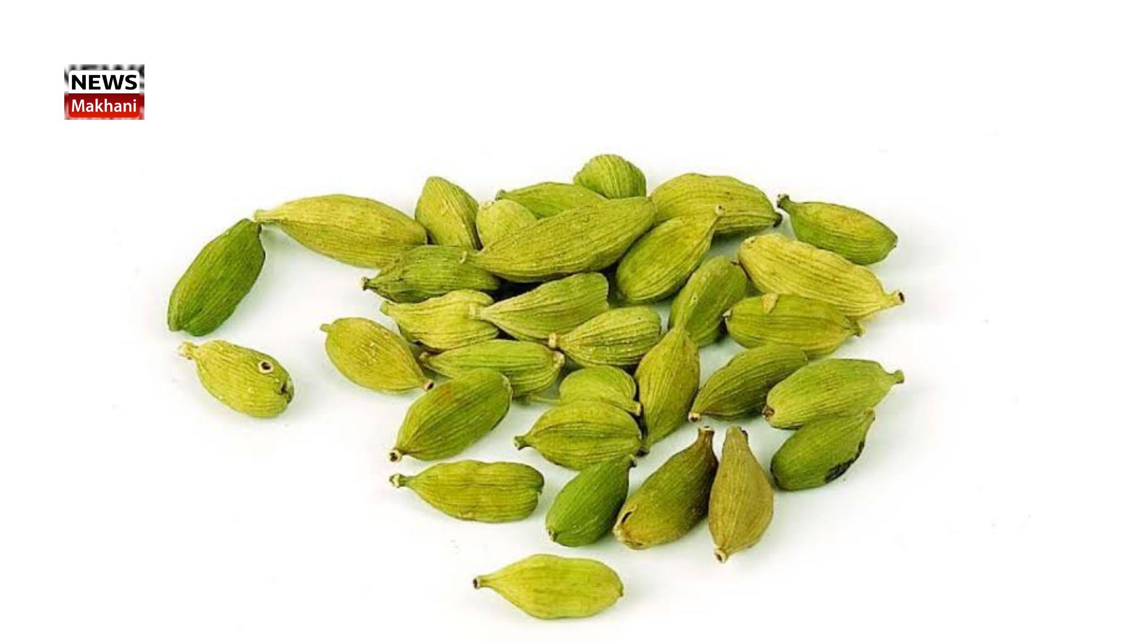 Benefits of Cardamom Benefits of Cardamom