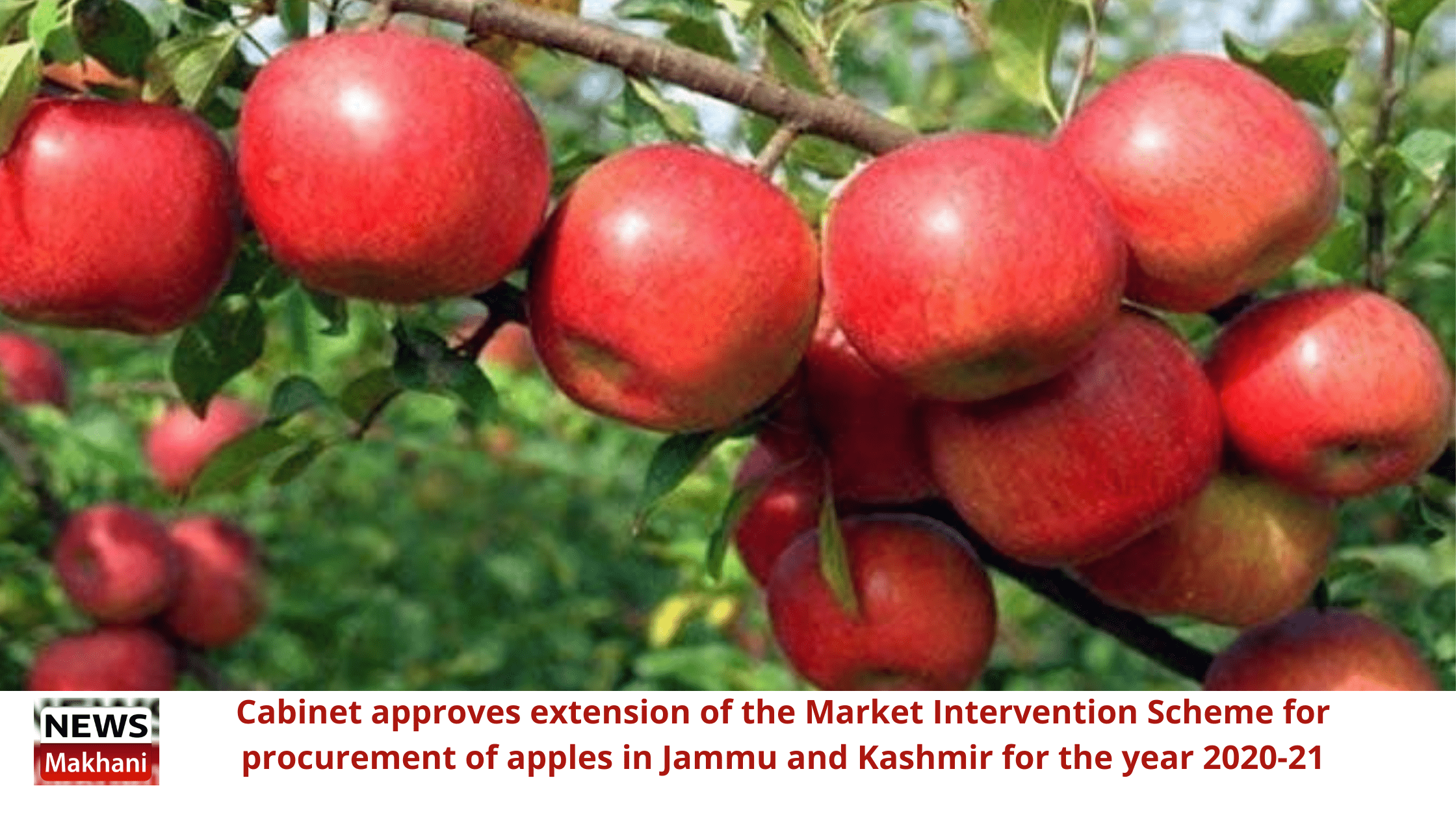 Market Intervention Scheme for procurement of apples in Jammu and Kashmir Market Intervention Scheme for procurement of apples in Jammu and Kashmir