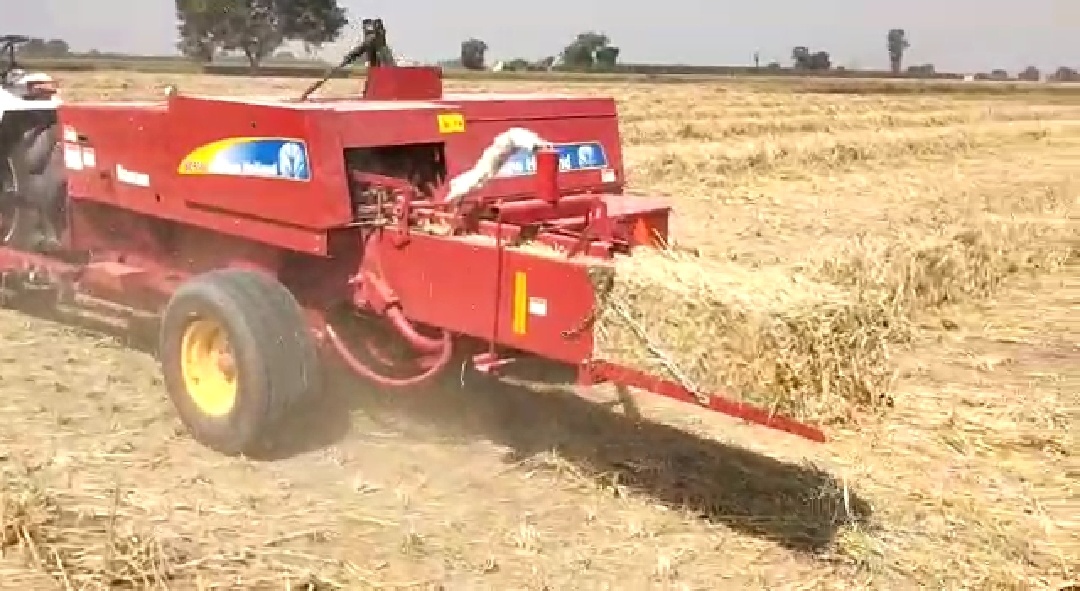 Hoshiarpur farmer Hoshiarpur farmer