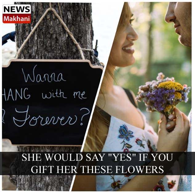 5E5D954D-026C-4CD5-9CBD-FB9738FCF50B