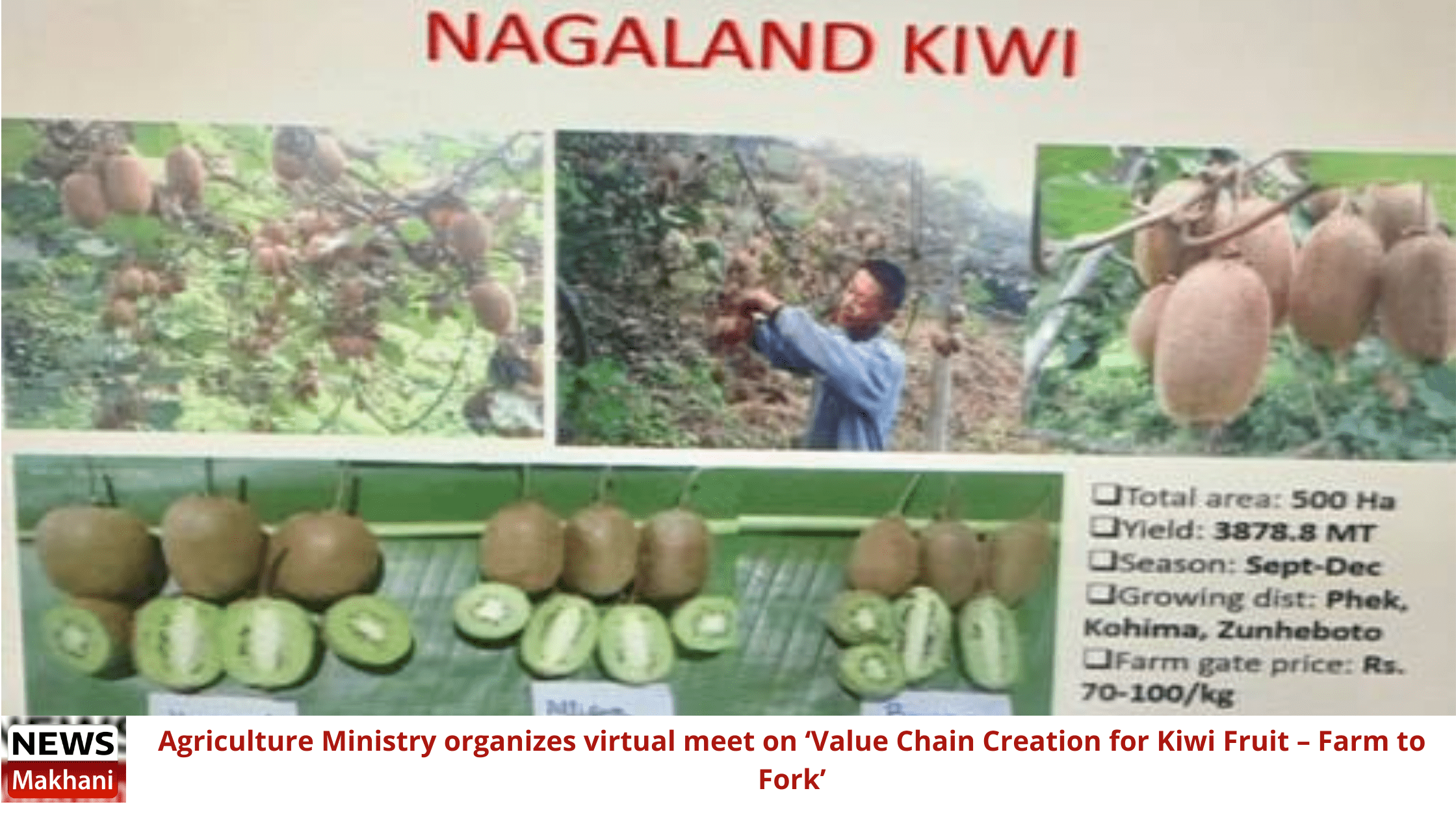 Agriculture Ministry organises virtual meet on ‘Value Chain Creation for Kiwi Fruit – Farm to Fork’ Agriculture Ministry organises virtual meet on ‘Value Chain Creation for Kiwi Fruit – Farm to Fork’