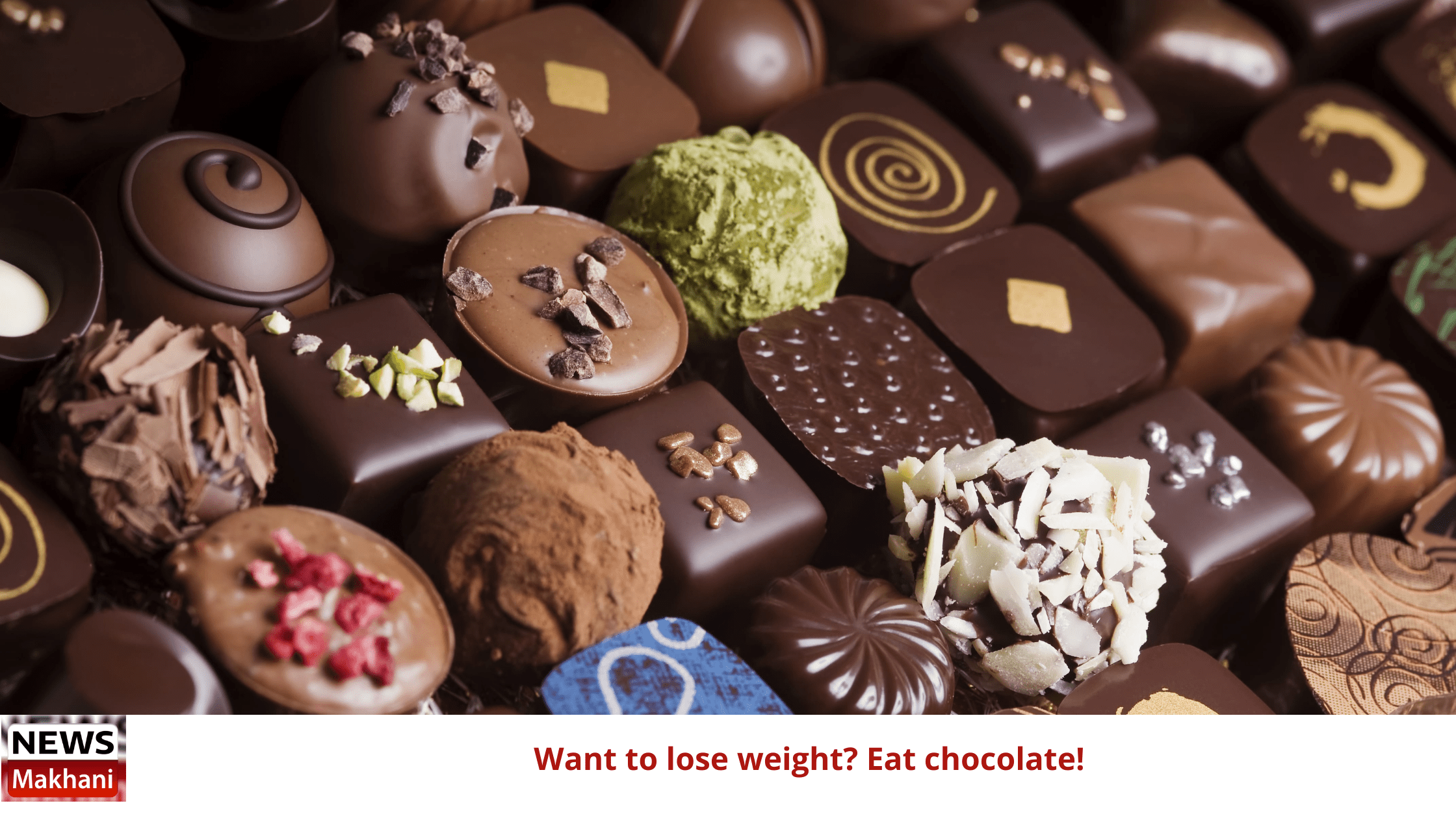 Want to lose weight? Eat chocolate! Want to lose weight? Eat chocolate!