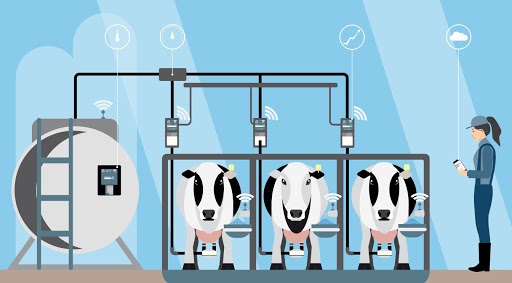 main-qimg-a5bf7ac278174767c30d1e108bbb9feb