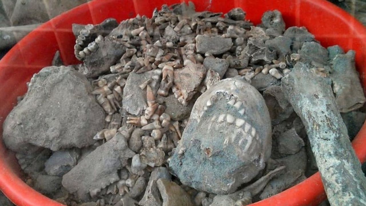 Scientific Analyses Revealed the Identity of Ajnala Skeletal Remains Scientific Analyses Revealed the Identity of Ajnala Skeletal Remains