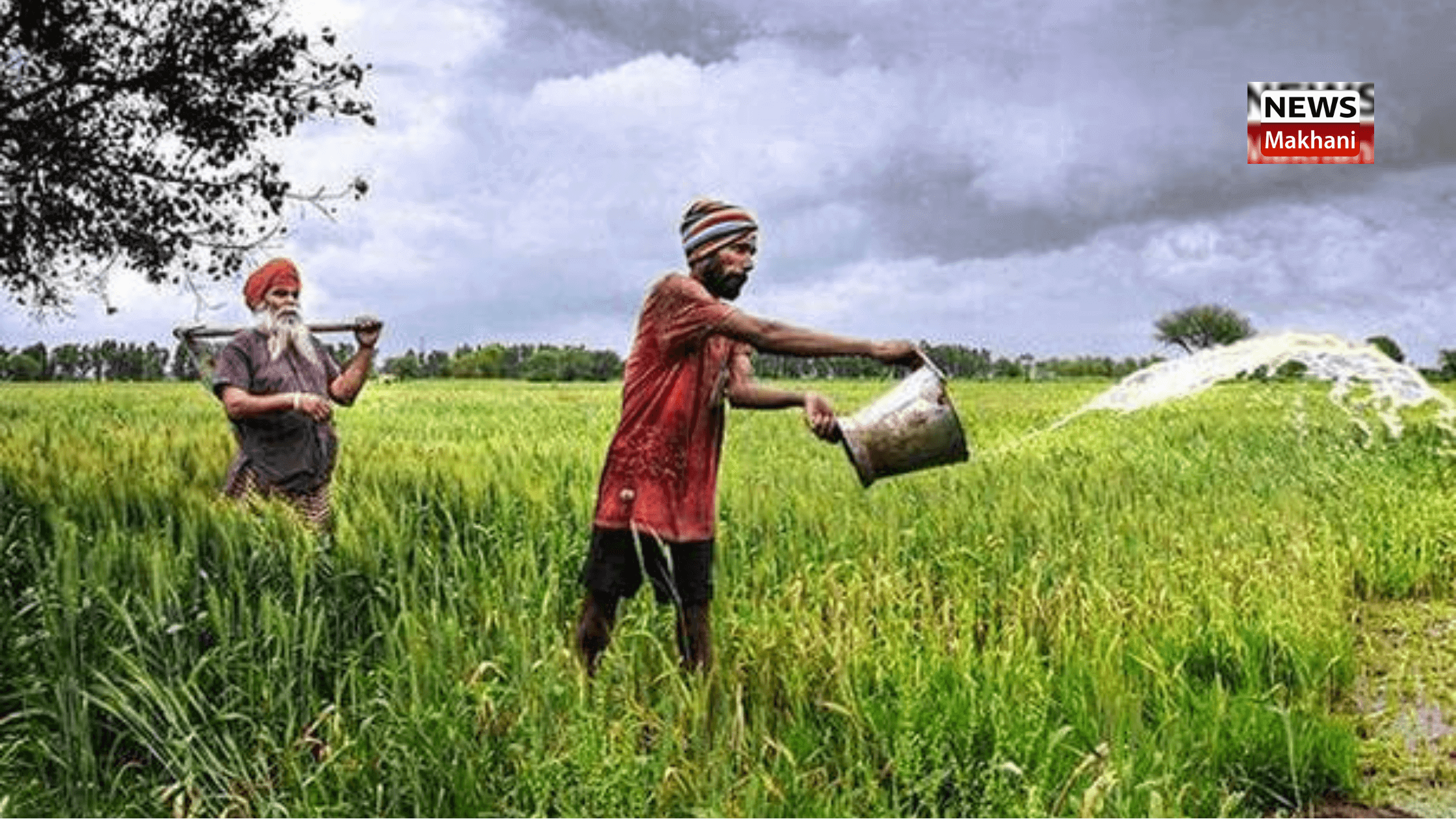 Finance Minister Nirmala Sitharaman presenting digital Union Budget will prove to be effective in doubling farmers’ income by 2022: J.P. Dalal Finance Minister Nirmala Sitharaman presenting digital Union Budget will prove to be effective in doubling farmers’ income by 2022: J.P. Dalal