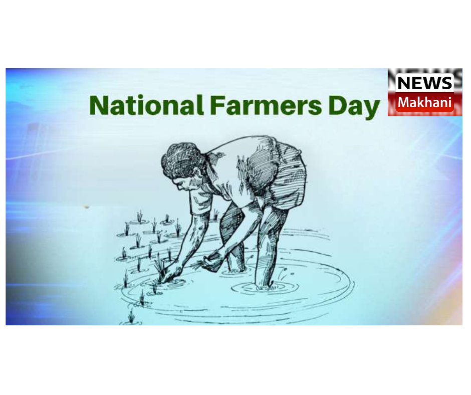 Untitled design (15)