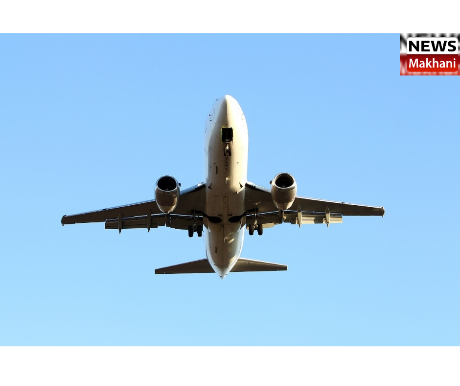 Untitled design (18)