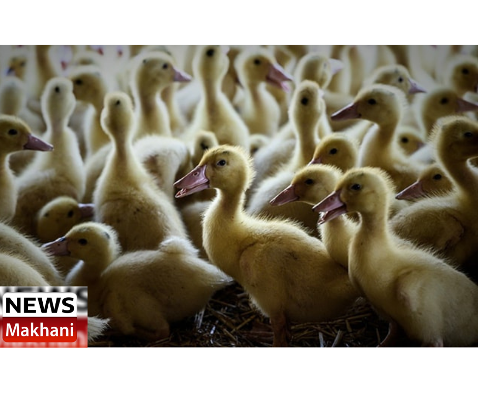 0001-15256534772_20210107_170408_0000