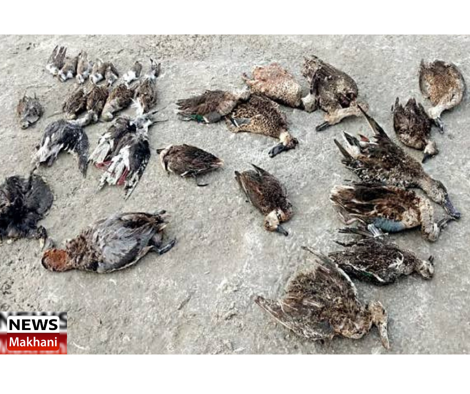 0001-15288037997_20210108_101955_0000