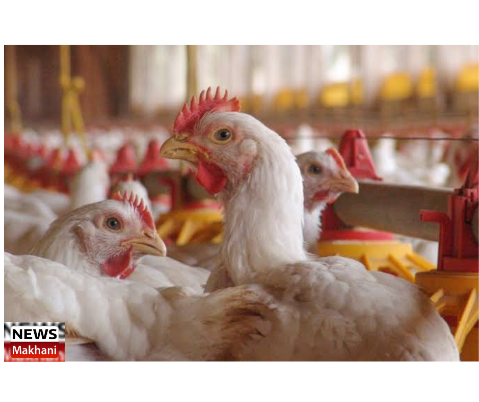 0001-16023295105_20210126_211124_0000