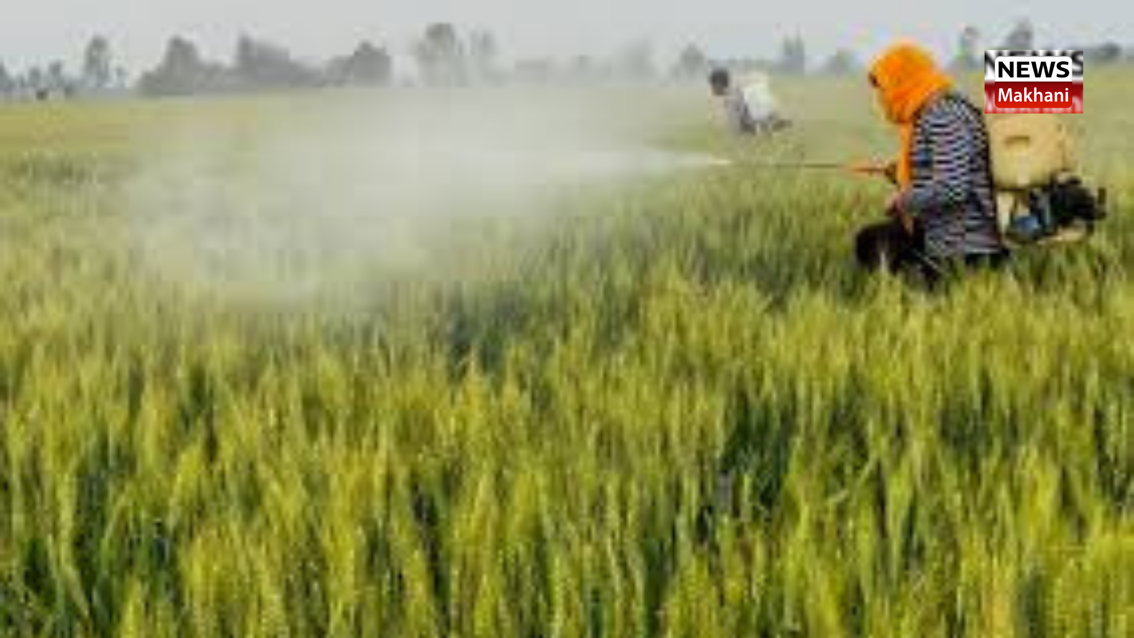 State government is committed to encourage farmers to adopt scientific farming techniques and increase their income: Kanwar Pal State government is committed to encourage farmers to adopt scientific farming techniques and increase their income: Kanwar Pal