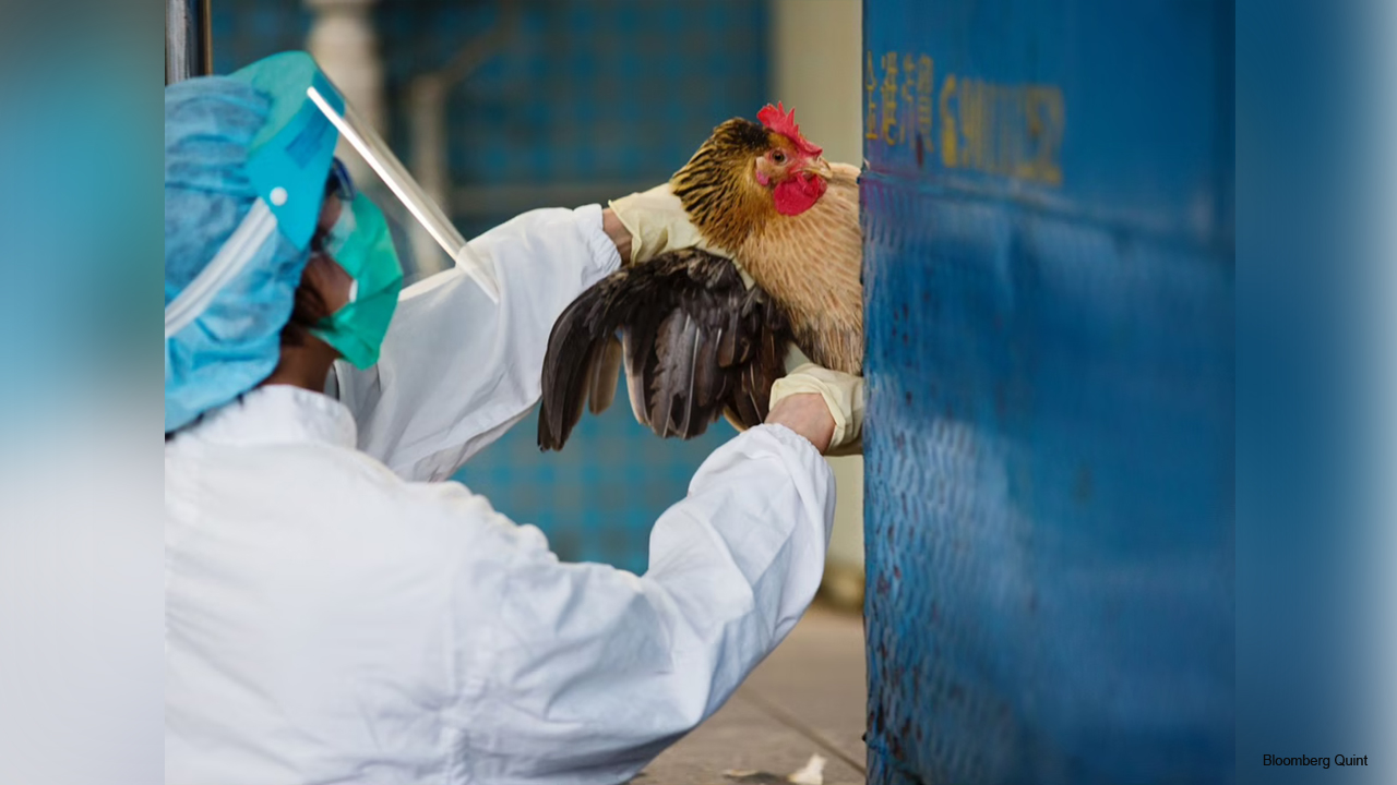 status-of-avian-influenza-in-the-country (1)