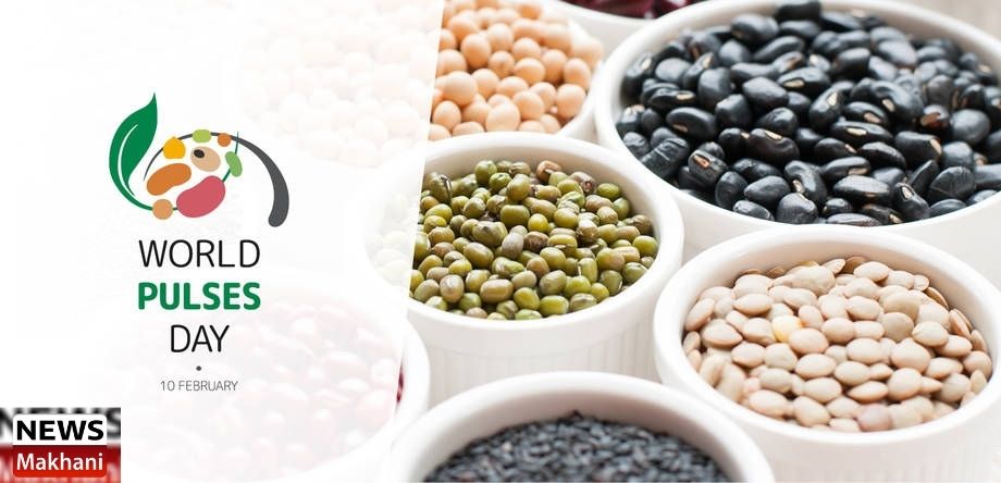 Untitled design - 2021-02-10T191031.706