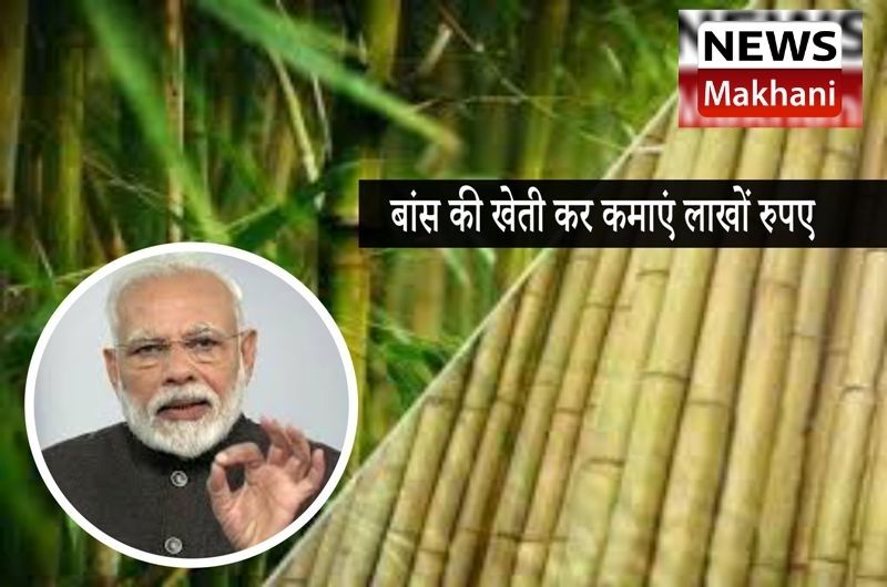 Untitled design - 2021-02-27T173353.190