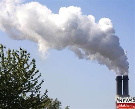 Untitled design (55)