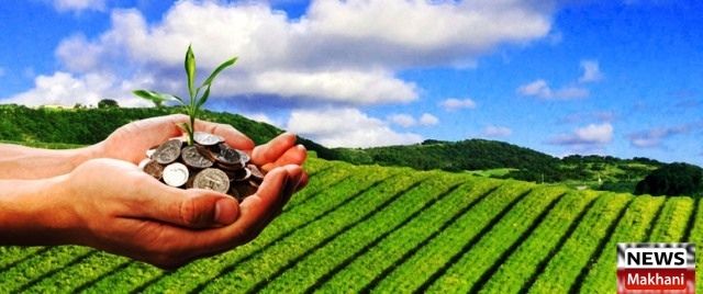 Untitled design (60)