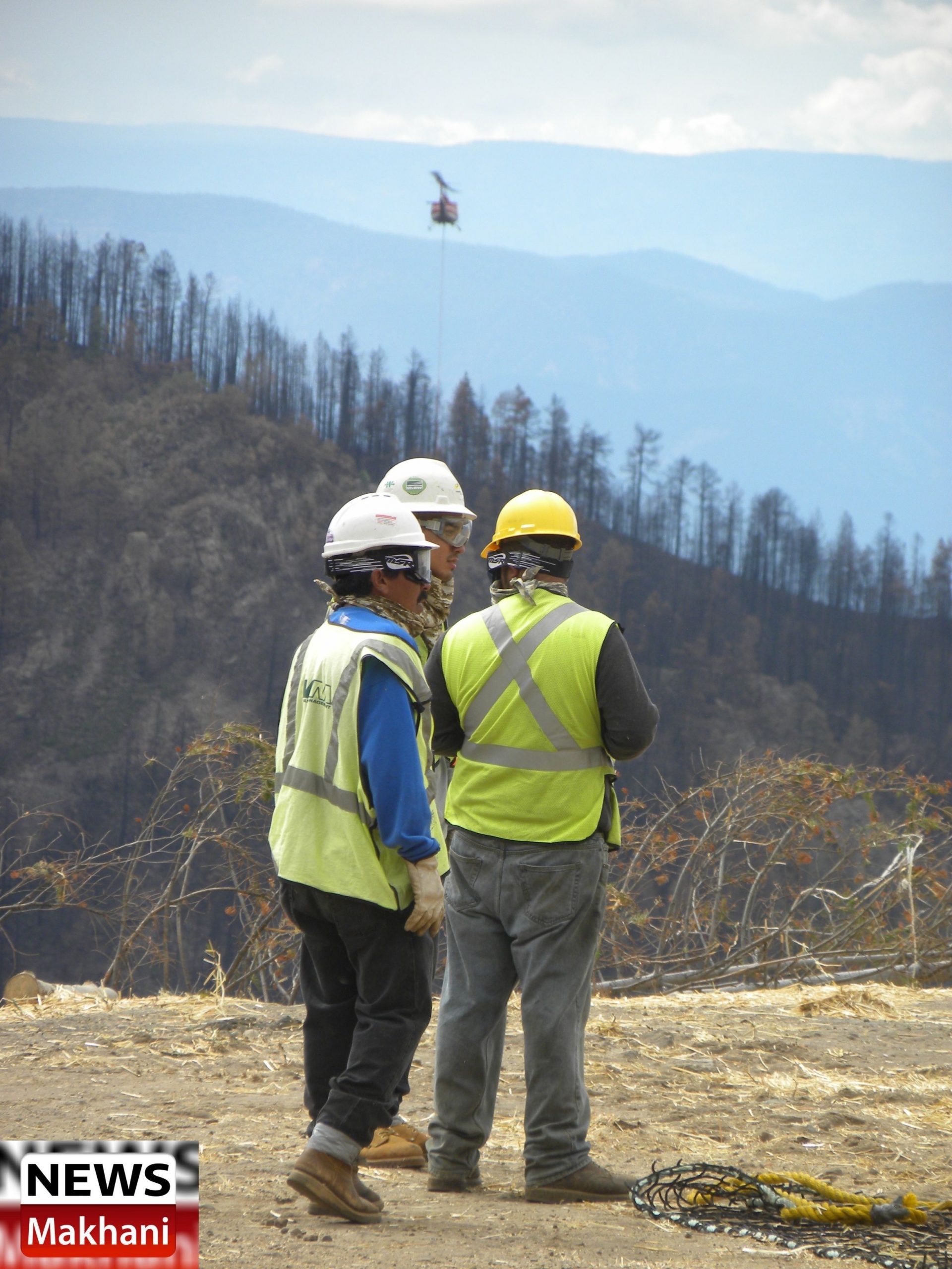 Untitled design (65)