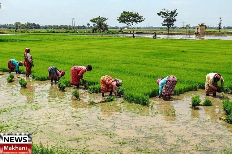 Untitled design (67)