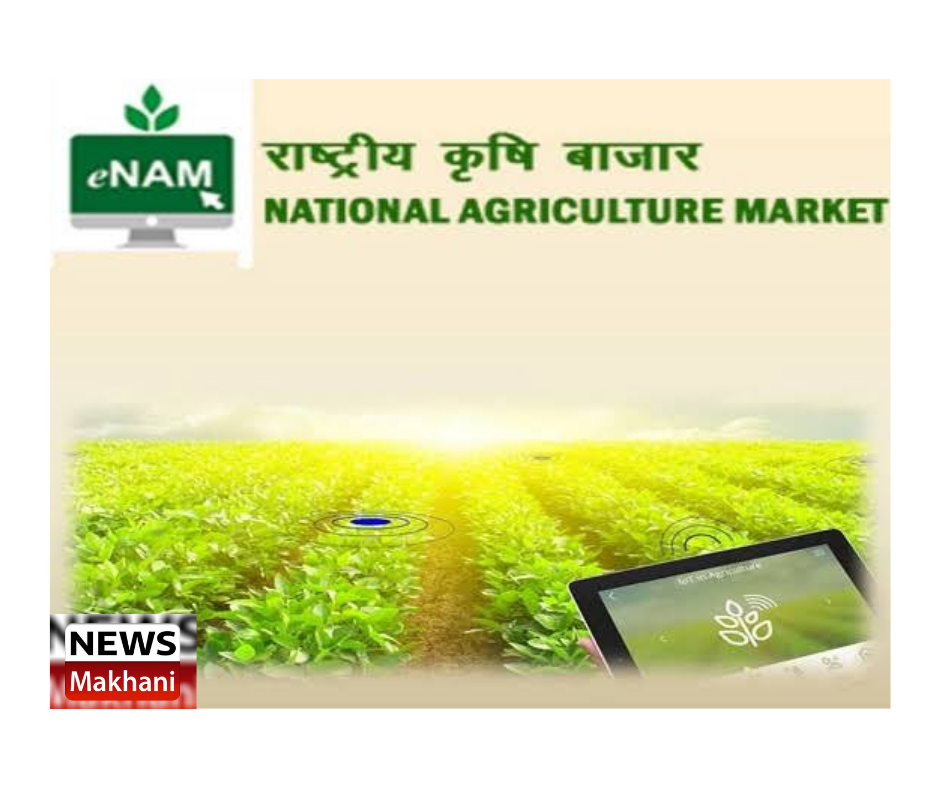 0001-18482791801_20210318_161144_0000