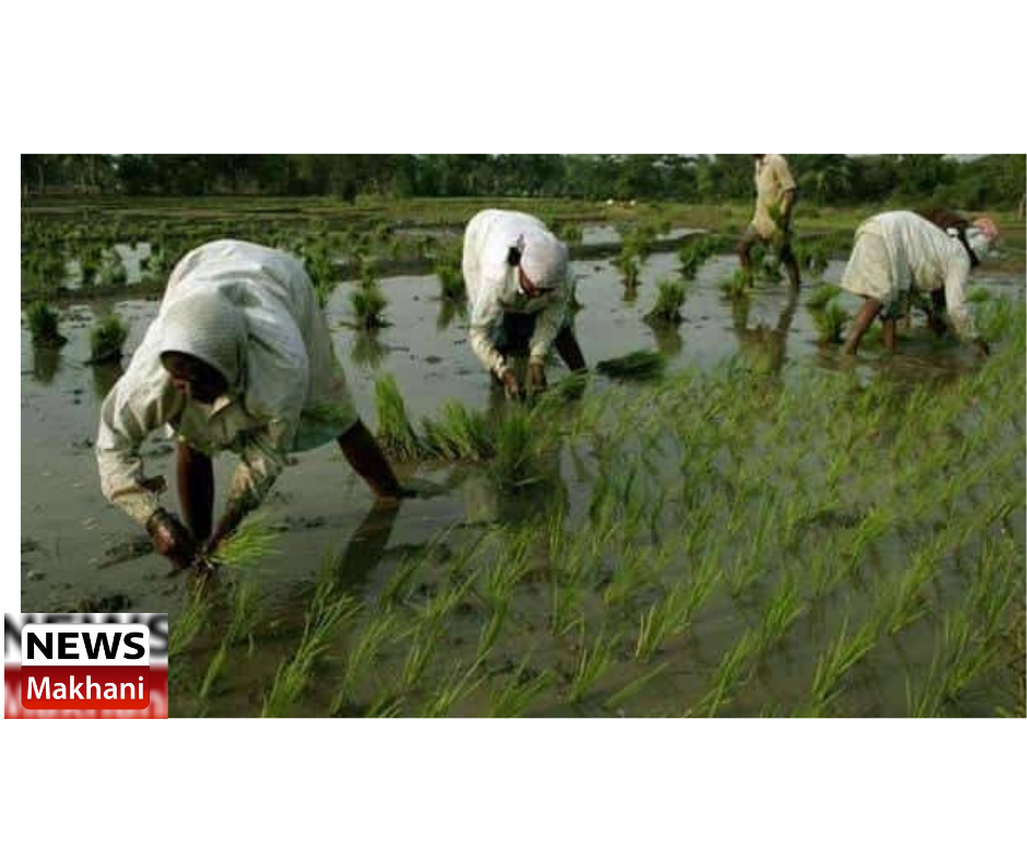 0001-18537863520_20210319_161949_0000