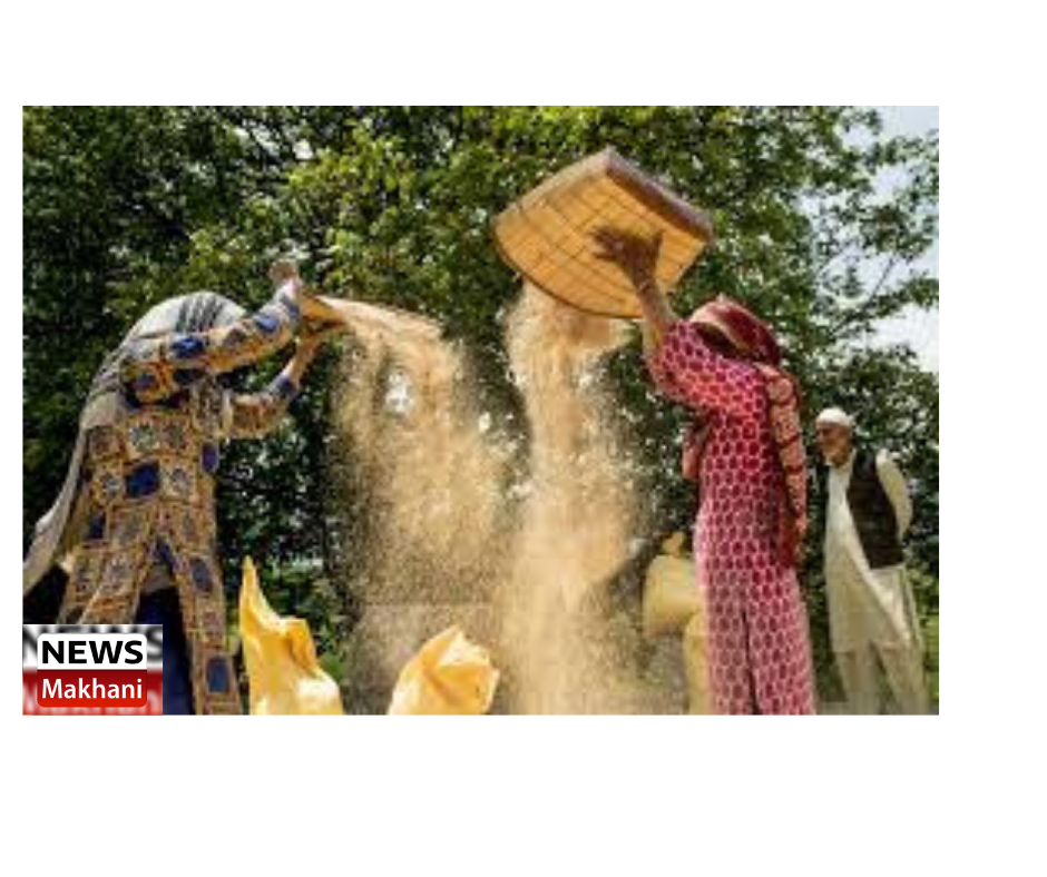 0001-18829016336_20210325_153253_0000