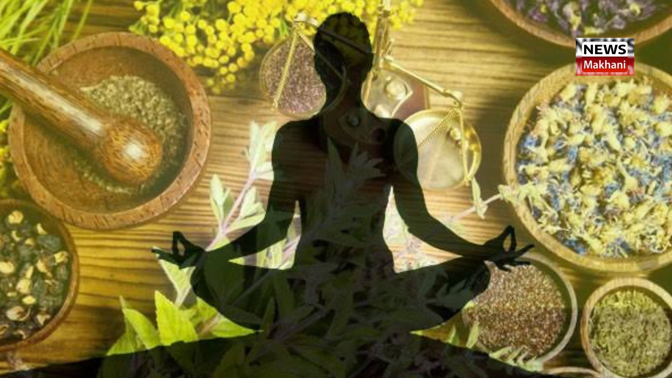 राज्य में प्राकृतिक एवं योग चिकित्सा के व्यापक प्रचार-प्रसार के लिए हुआ राजस्थान राज्य प्राकृतिक चिकित्सा विकास बोर्ड का गठन राज्य में प्राकृतिक एवं योग चिकित्सा के व्यापक प्रचार-प्रसार के लिए हुआ राजस्थान राज्य प्राकृतिक चिकित्सा विकास बोर्ड का गठन