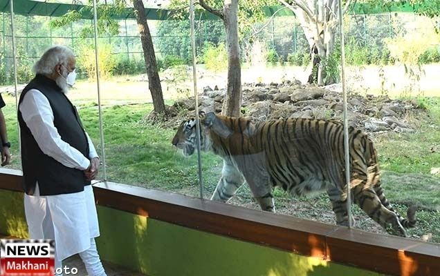 Untitled design - 2021-03-03T104053.219