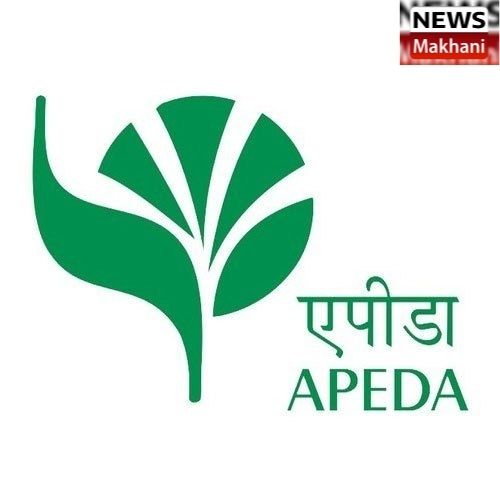 Untitled design - 2021-03-11T141147.381