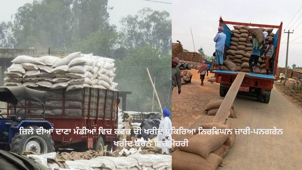 Add a suਜ਼ਿਲੇ ਦੀਆਂ ਦਾਣਾ ਮੰਡੀਆਂ ਵਿਚ ਕਣਕ ਦੀ ਖਰੀਦ ਪ੍ਰਕਿਰਿਆ ਨਿਰਵਿਘਨ ਜਾਰੀ-ਪਨਗਰੇਨ ਖਰੀਦ ਕਰਨ ਵਿਚ ਮੋਹਰੀbheading