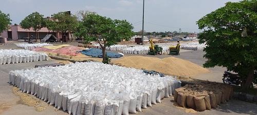 April 27 Mandi pic 1