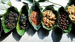 What Is Wild Food? What Is Wild Food?