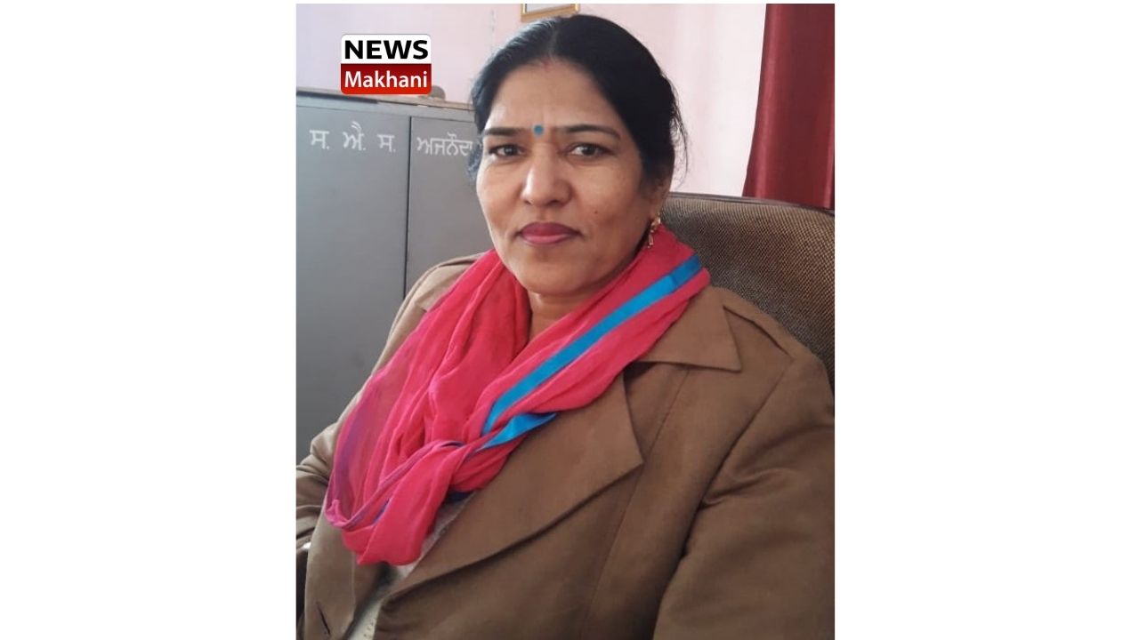 Untitled design (12)