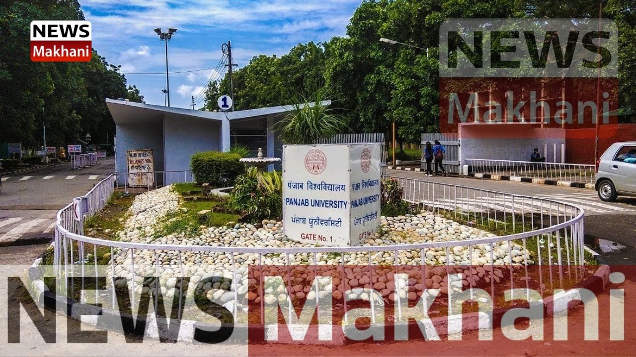 Untitled design - 2021-05-17T175128.373 panjab university