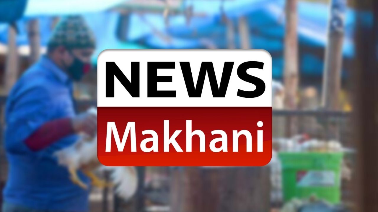 Untitled design - 2021-05-19T113000.011