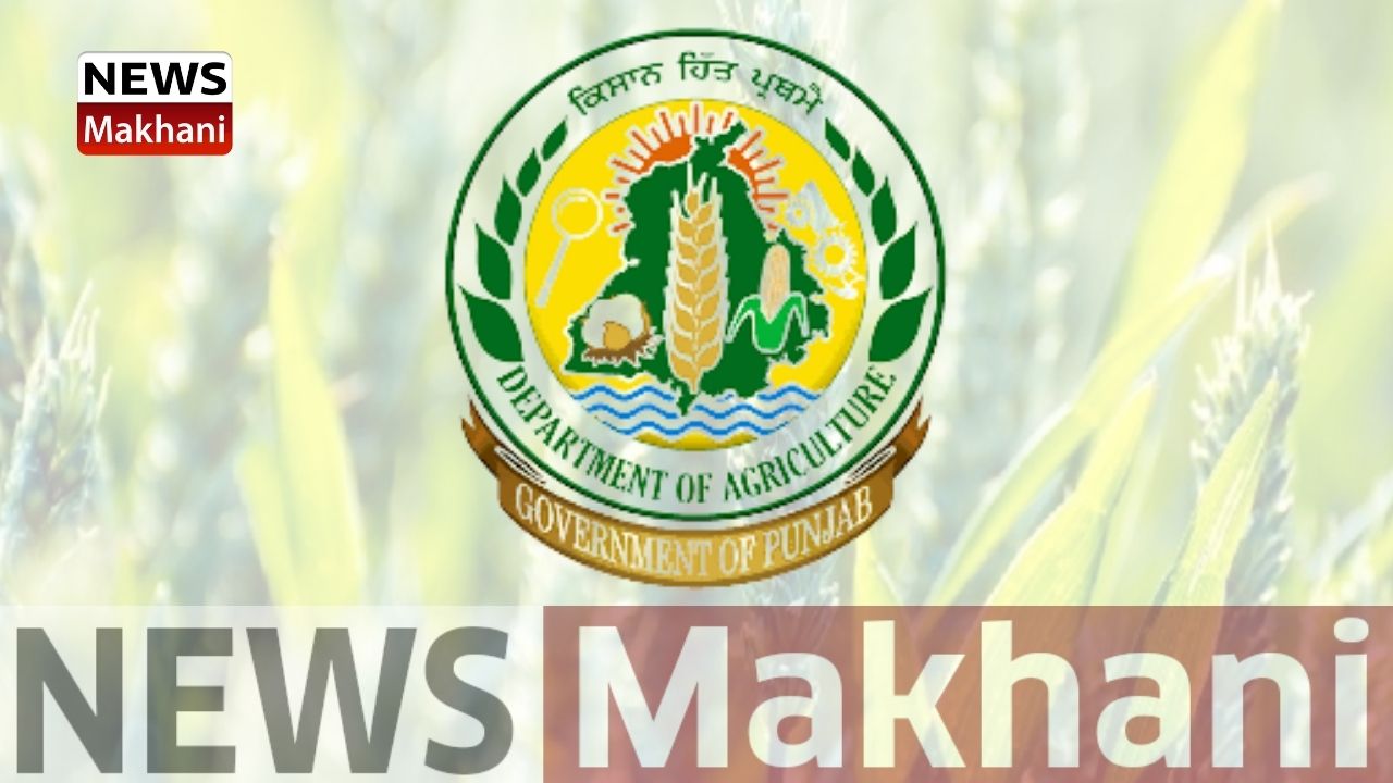 Untitled design - 2021-05-28T162052.686