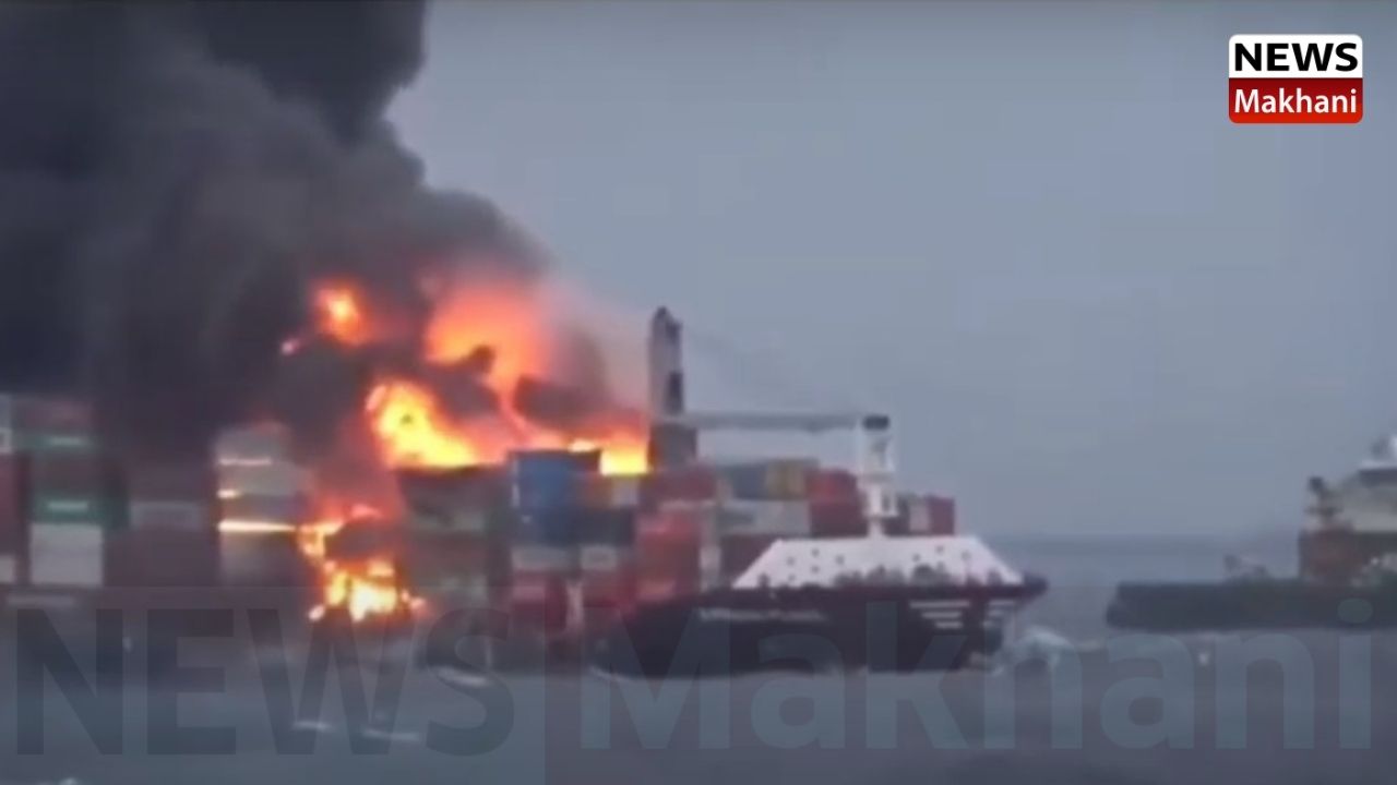 Untitled design (31)