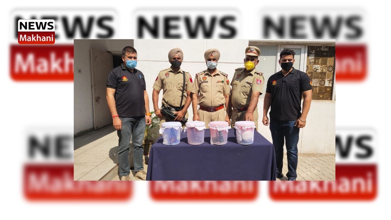 Untitled design (64)