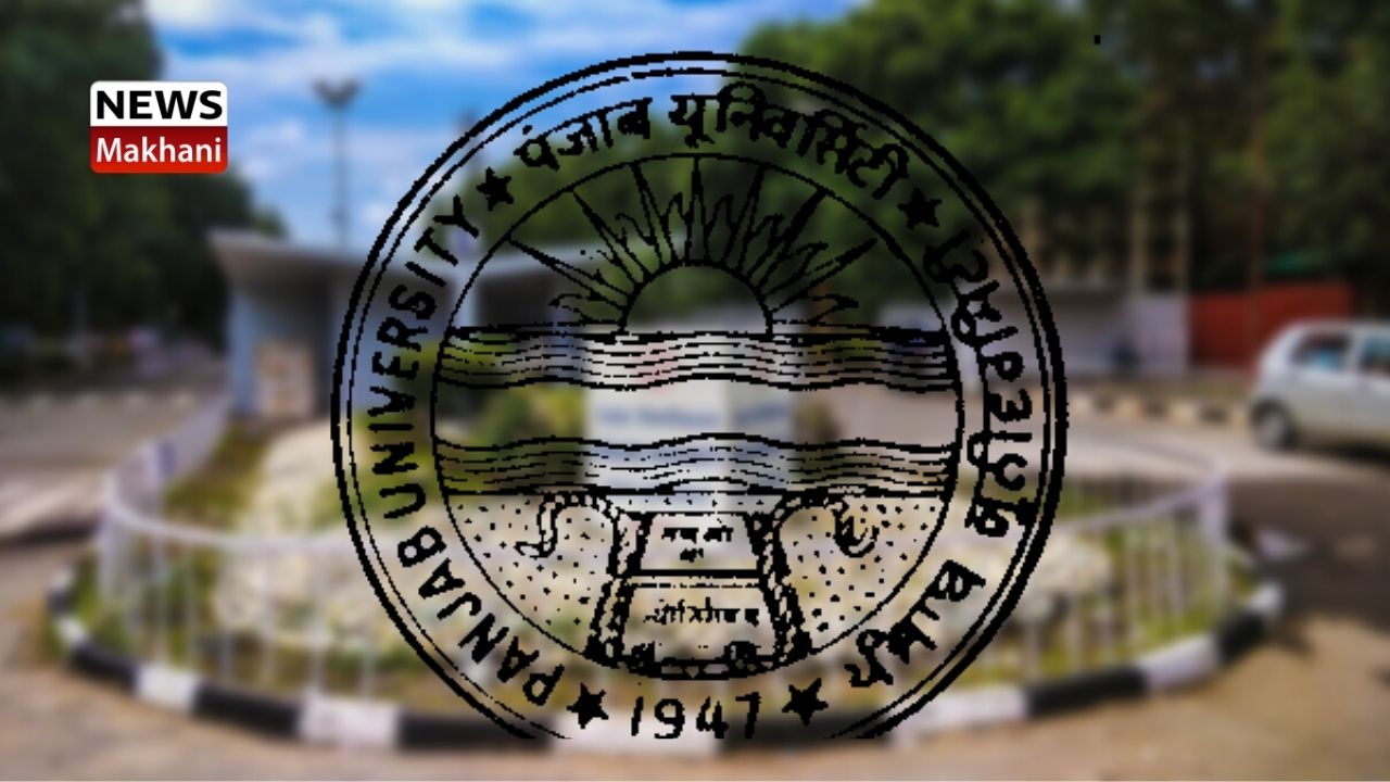 Untitled design (75)