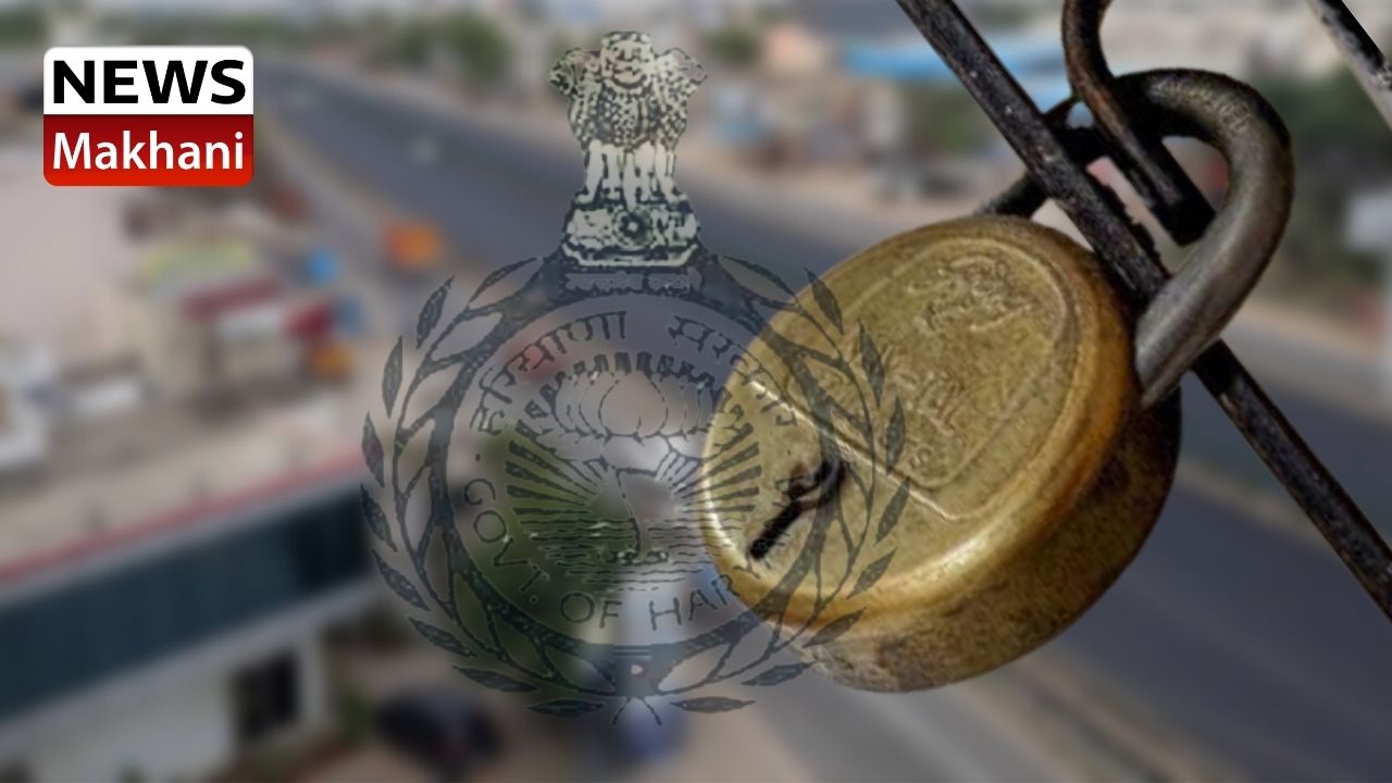 Untitled design (79)