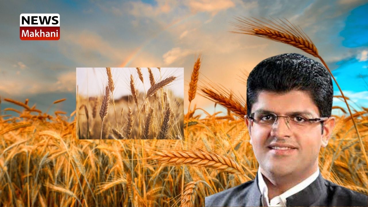 Untitled design (87)