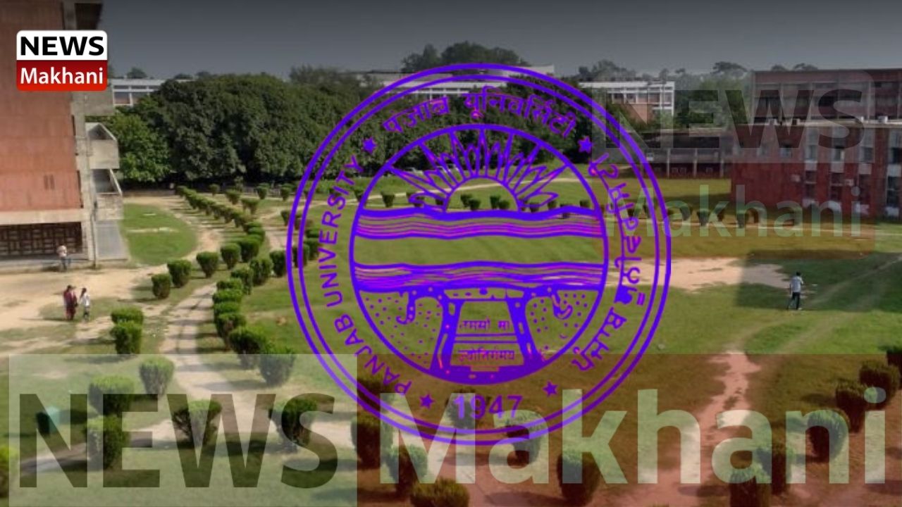 Untitled design (92)