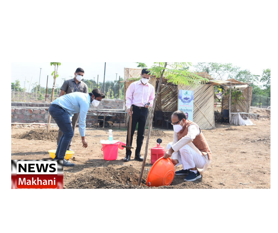 0001-2421364460_20210605_190803_0000