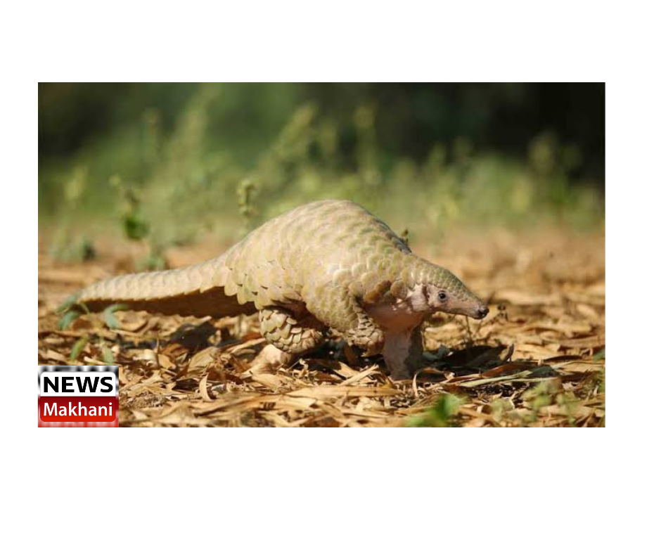 0001-2561889581_20210608_201917_0000